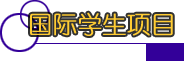 国际学生项目